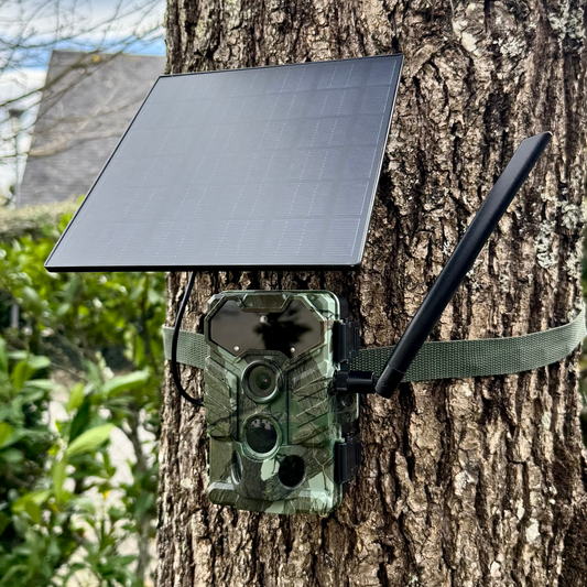 Caméra de chasse Solar 8K 4G Solythis