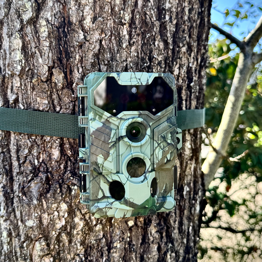 Caméra de chasse 8K - 32MP Solythis